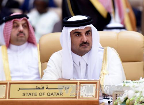 Quốc vương Qatar tố Saudi Arabia và đồng minh muốn 'thay đổi chế độ'